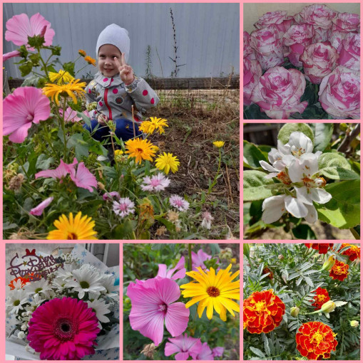 Букет для мамы Букет для мамы.